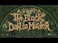 Moonlight Equilibrium - The Black Dahlia Murder (guitar cover) #betterlatethannever