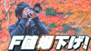 F値を下げて下げて下げまくれ！！！F値2.8の圧倒的表現力とは！？