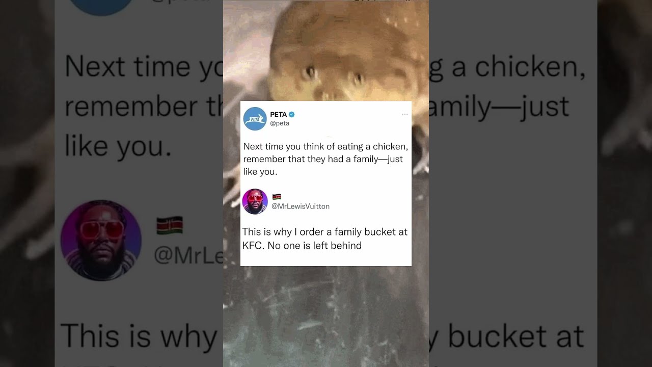 WTF Did I Just Watch 