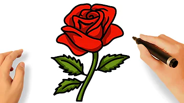 Comment dessiner une rose avec sa tige ?