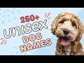 250+ Unisex Dog Names You've Never Heard Before!😯 | Boy and Girl Dog Names | Clever Dog Names