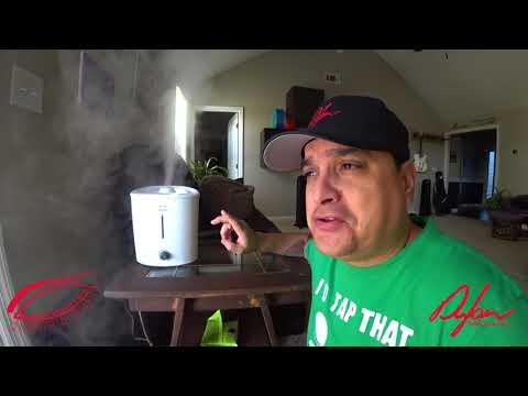 Ultrasonic Home Humidifier Review Make Sure You Humidify Your Guitars #294