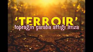 Toprağın Şaraba Attığı Imza..terroir.