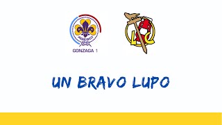 Video thumbnail of "Un Bravo Lupo - Canto Scout"