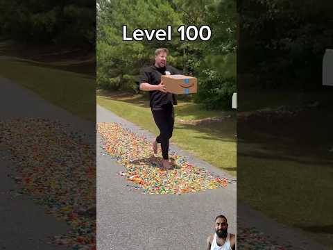 level 1 to