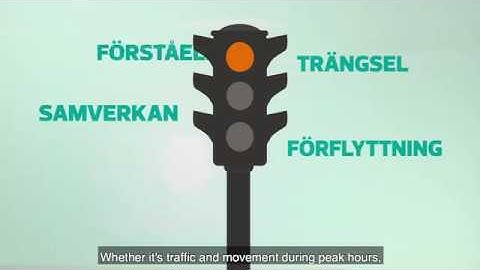 What is Crowd Dynamics?