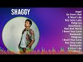 Shaggy 2024 MIX Playlist - Angel, Go Down Deh, It Wasn