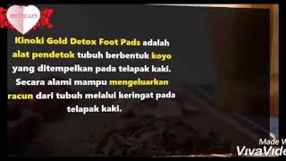 KINOKI KOYOK GOLD ORIGINAL 100%