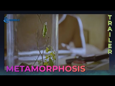 Metamorphosis Movie Trailer | Cinema One Originals 2019