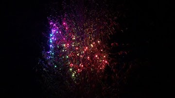 Review of Ampulla Smart String Fairy Lights Work with Alexa Google Home App and Remote Control 66ft