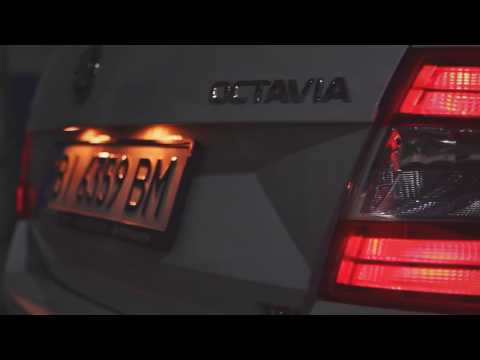 Чип тюнинг Skoda Octavia