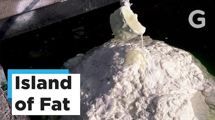 Fatberg: A Man-Made Island Made of FAT