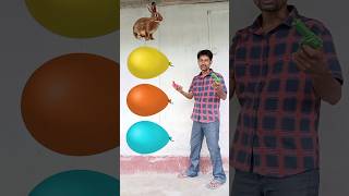 June 19, 2023 Balloon to Animals Funny vfx magic video