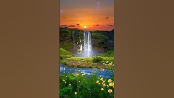 روائع التلاوة(ذلك من أنباء القرى نقصه عليك منها قائم وحصيد) قرآن_كريم_راحة_نفسية_ارح#اكسبلور#explore