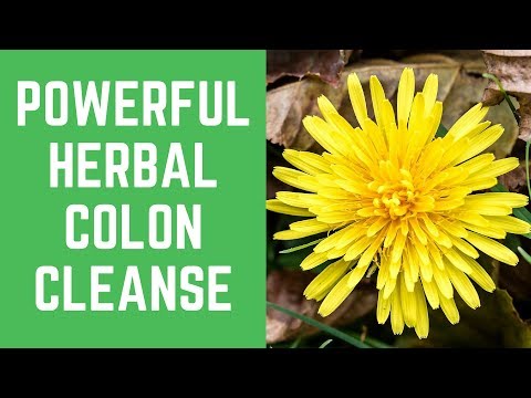SHOCKING: Video Reveals 5 Awesome Herbal Colon Cleanse Tips