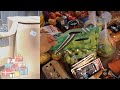 MASSIVE summer grocery haul, Birthday presents and NEW fence