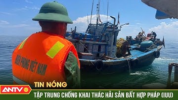 Thủ tướng yêu cầu tập trung thực hiện tháng cao điểm chống khai thác hải sản bất hợp pháp (IUU)|ANTV