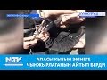 АПАСЫ КЫЗЫН ЭМНЕГЕ ЧЫНЖЫРЛАГАНЫН АЙТЫП БЕРДИ\\NewTV