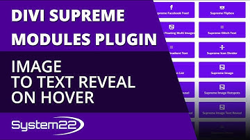 Divi Supreme Modules Image To Text Reveal On Hover 👈