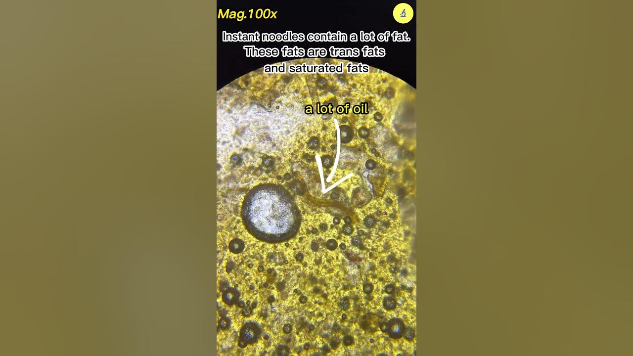 instant-noodles-under-the-microscope-shorts-microscope
