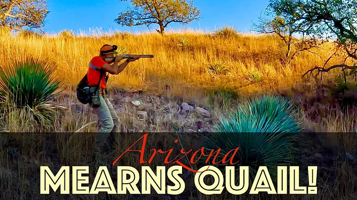 *EPIC* Mearns Quail Hunt! Arizona-part 2