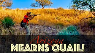 *EPIC* Mearns Quail Hunt! Arizonapart 2