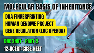Molecular Basis of Inheritance | Lac Operon | Human Genome Project | DNA Fingerprinting | NCERT NEET