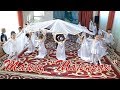 День независимости Казахстана Танец Шанырак