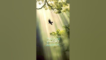 سورة النور عبد الباسط عبد الصمد #القرآن_الكريم #قرآن