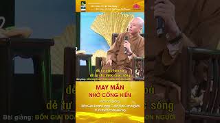 MAY MẮN NHỜ CỐNG HIẾN - TT. TS. Thích Chân Quang #thichchanquang #phapquangsenhong #shorts