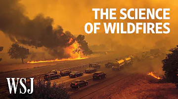 The Science of Wildfires: Why They're Getting Worse | WSJ
