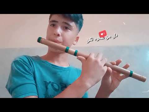 توله اهنگ دلمن شکوه نکن