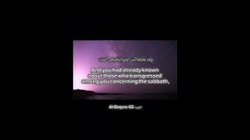 سورة البقرة الآية  65  Surah Al-Baqara Ayah   ا#quotes #surahbaqarahwithurdutranslation