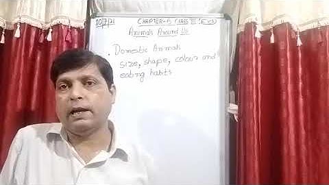Class III EVS 10- 07- 2021 by Mr Rupesh Chapter 5 Animals Around Us