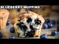 Easy blueberry muffins recipe