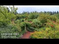 Growing a Greener World Episode 1202 - In Susan's Garden