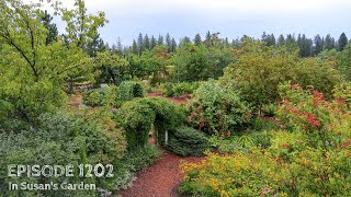 Growing a Greener World Episode 1202 - In Susan's Garden