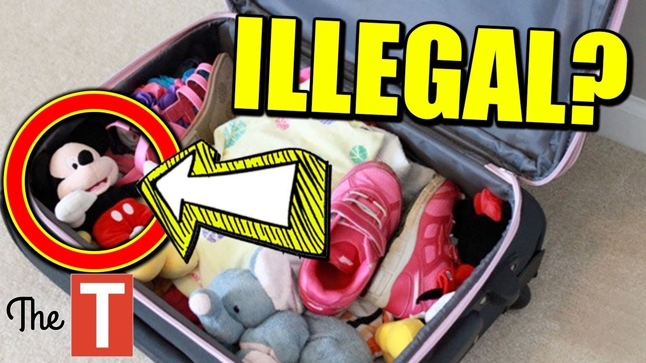 10 Strangest Things Not Allowed On Airplanes