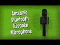 Amazmic Bluetooth Karaoke Microphone | Bluetooth Review | Budget Buys Ep. 36