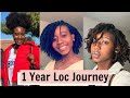 Looking back at my ONE YEAR LOC JOURNEY w/ pictures + videos only | From Small to Medium Locs