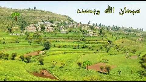 ومِن آياته .. . عبد العزيز سعيد بن غائب