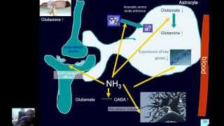 Pathophysiology of liver - part2