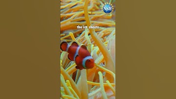 Exploring the Oceans #ocean #shorts