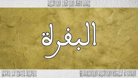 القرآن القارئ عبد الرحيم النابلسي سورة البقرة 002