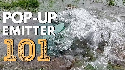Installing a pop-up Emitter Drainage System [ DIY Drainage Solutions ]