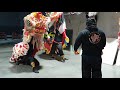 Guan Gong Day | August 2020 | AUS Jing Yee Lion Dance  | 澳洲精義醒獅團