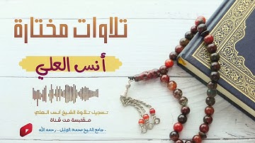 تلاوة من سورة الجاثية : القارئ أنس العلي