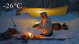 -26°C Winter Tarp Camping - Algonquin Backcountry