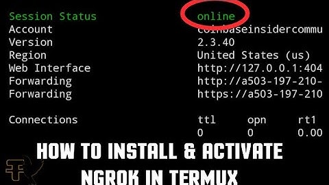 How to Install And Activate Ngrok On Termux | Configure ngrok On Termux