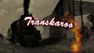 Video thumbnail of "Transkaroo Covered By Leon van Tonder"